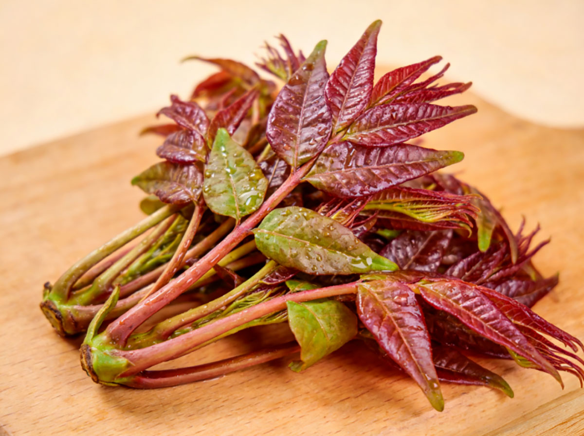 艾迪飨春 | 春天第一口鲜！